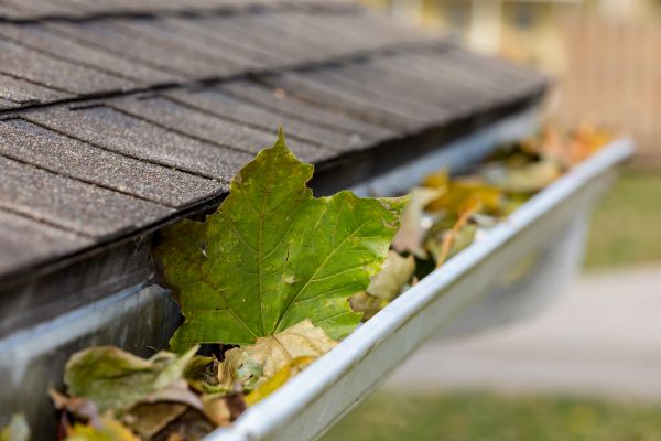 Commercial Downspout Cleaning in Roanoke