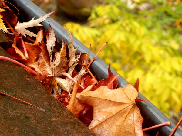 Cost of Roof Gutter Debris Removal in Roanoke