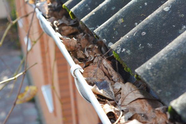 Cost of Home Gutter Cleaning in Roanoke