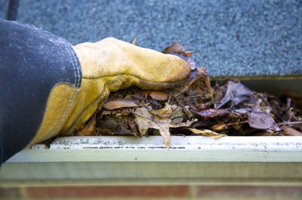 Cost of Jammed Gutter Cleaning in Roanoke