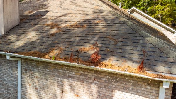 Cost of Gutter Pine Needle Removal in Roanoke