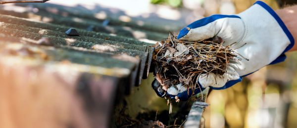 Pine Needle Gutter Cleaning in Roanoke