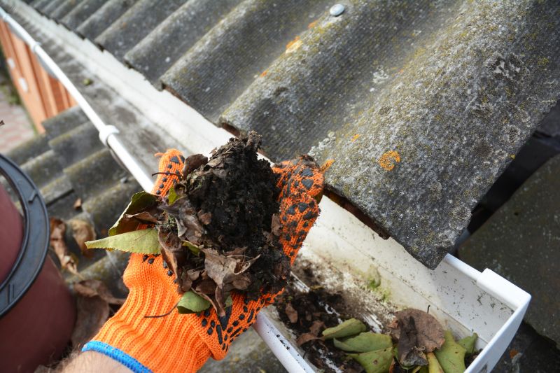 Debris Removal from Gutter