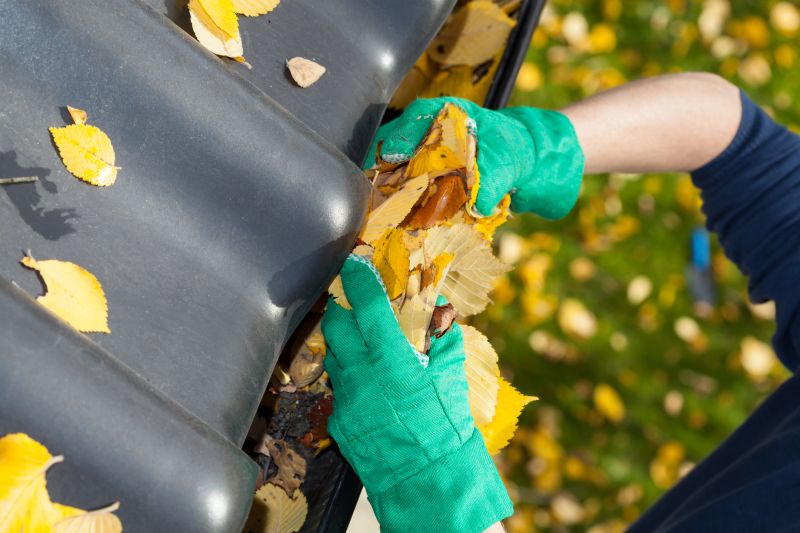 Late Fall Gutter Cleaning