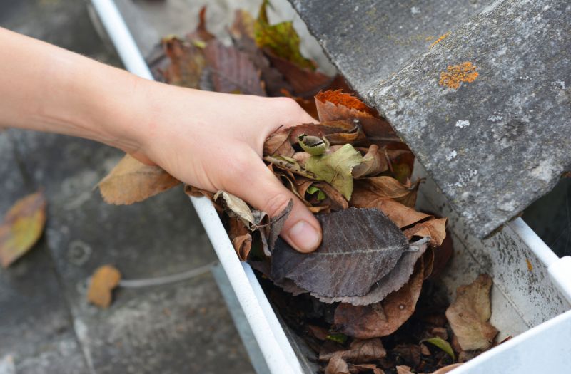 Pre-Winter Gutter Maintenance