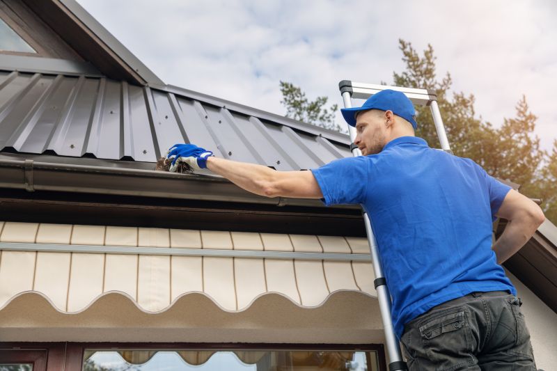 DIY Gutter Cleaning Tips